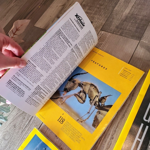 National Geographic Magazine Bundle 6pc - Picture 8 of 16